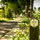 Sentier de randonnée Ooidonk